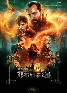 神奇动物:邓布利多之谜