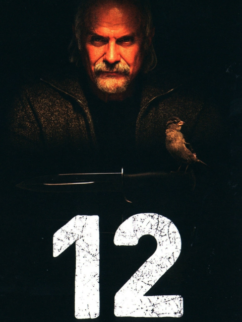 十二怒汉大审判