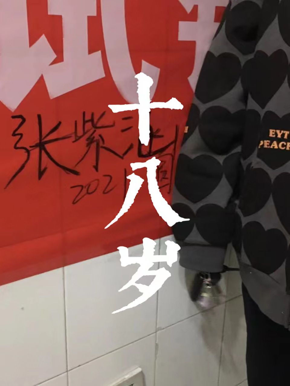 再见了我的十八岁