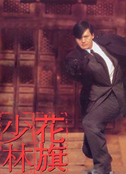 花旗少林粤语版