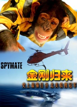 金刚归来普通话版