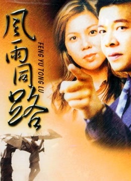 风雨同路1994