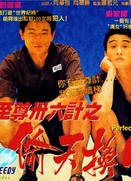 至尊三十六计之偷天换日粤语版