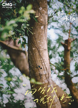 你好生活第四季