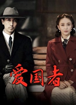 爱国者D第五季D版