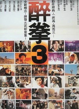 醉拳3粤语版