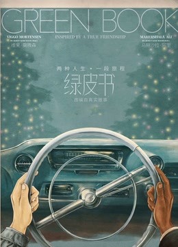 绿皮书普通话版