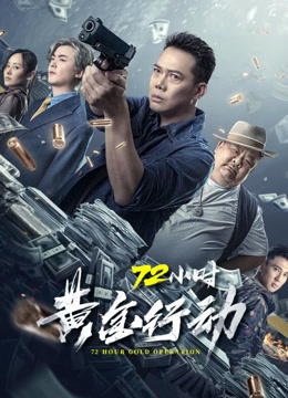 72小时黄金行动粤语版
