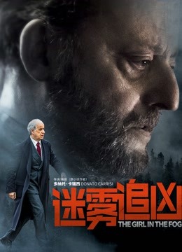 迷雾追凶普通话版