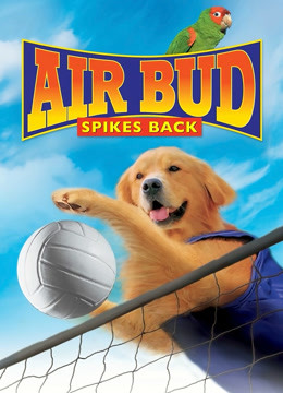 飞狗巴迪5排球健将英语版